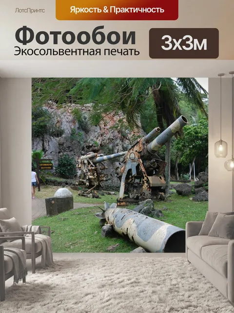 Фотообои Пушка