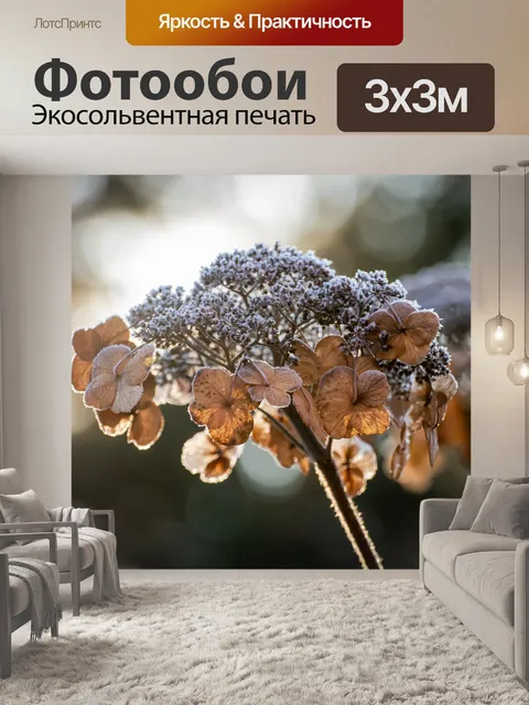 Фотообои Тарелка гортензия