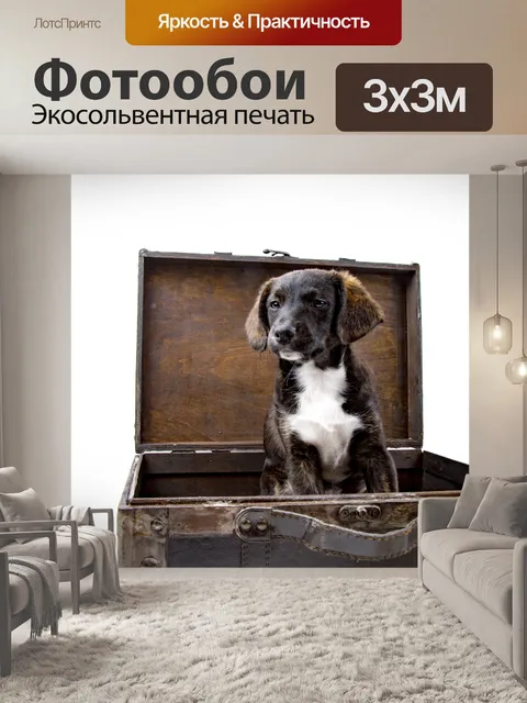 Фотообои Щенок с чемоданом