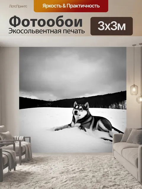 Фотообои сиба ину, мирно лежащий на снежном холме, взирающий на безмолвный зимний ландшафт