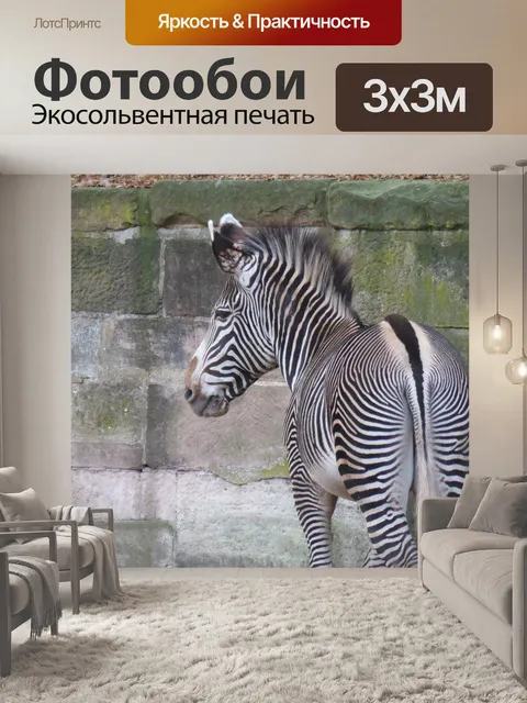Фотообои Зебра