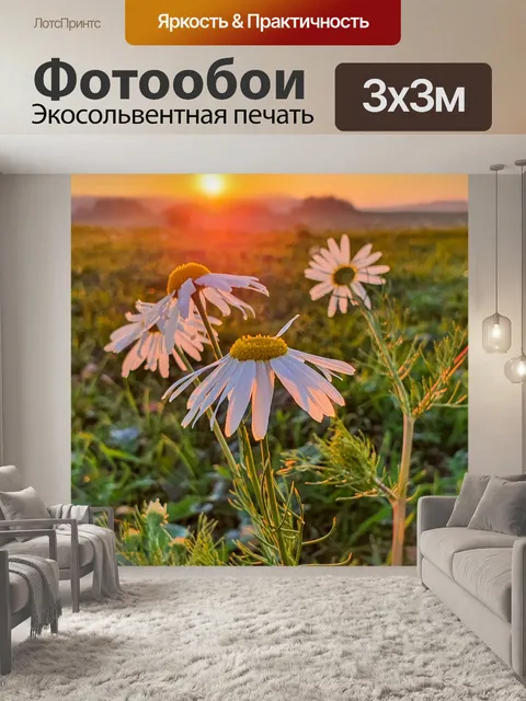Фотообои Ромашки на закате