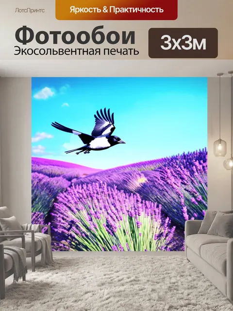 Фотообои сорока, летающая над цветущими лавандовыми полями в солнечный день
