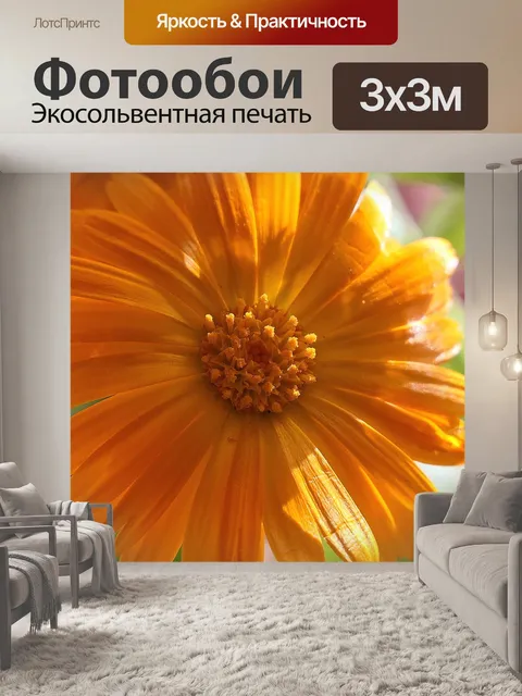 Фотообои Есть