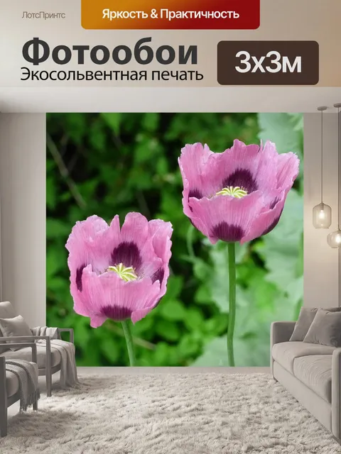 Фотообои Мака