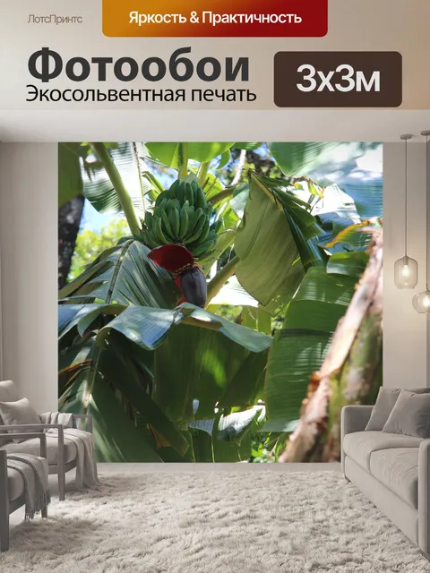 Фотообои Дикие зеленые бананы