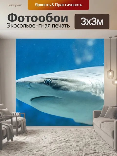 Фотообои Акула
