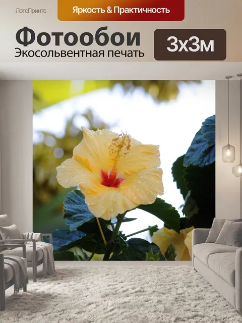 Фотообои цветок гибискуса куст