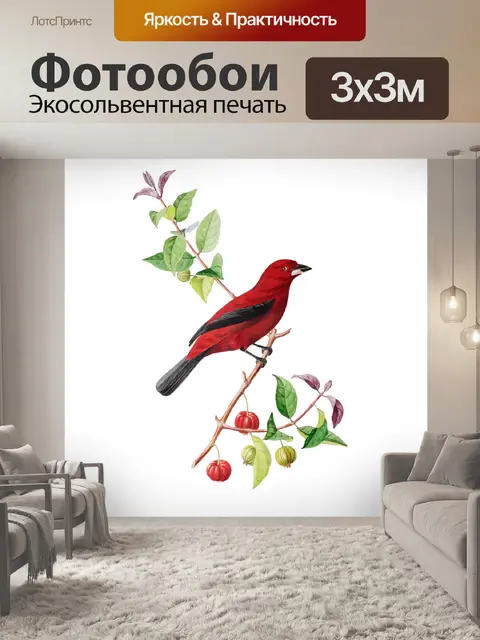 Фотообои Красная Танагра Птица Винтажное Искусств