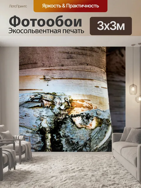 Фотообои Береза