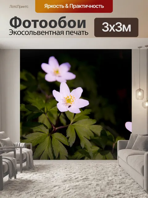Фотообои Цветы