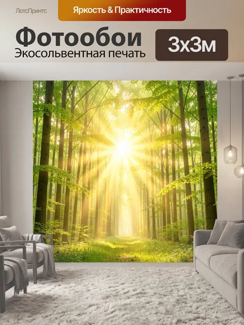 Фотообои Солнечный лесной тоннель