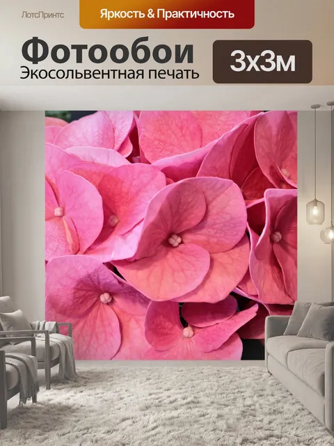 Фотообои Розовый Гортензия Макро