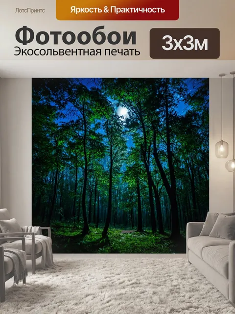 Фотообои лес с лунным светом, проникающим через ветви деревьев