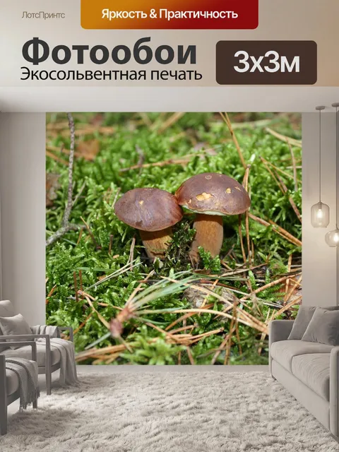 Фотообои Лес