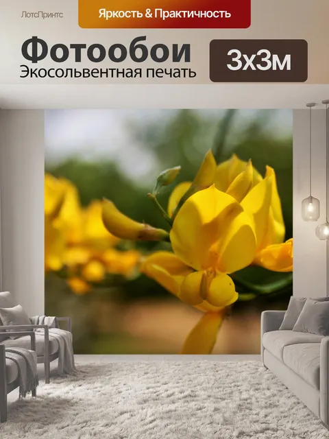 Фотообои желтые орхидеи