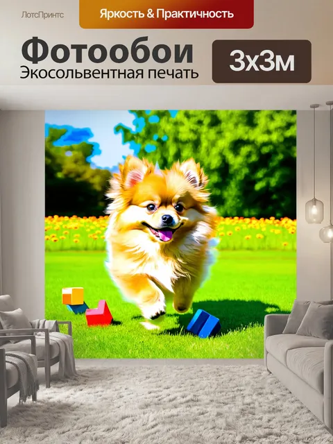Фотообои померанский шпиц, играющий с разноцветными игрушками в ярком парке с зеленой травой, цветами и деревьями на…