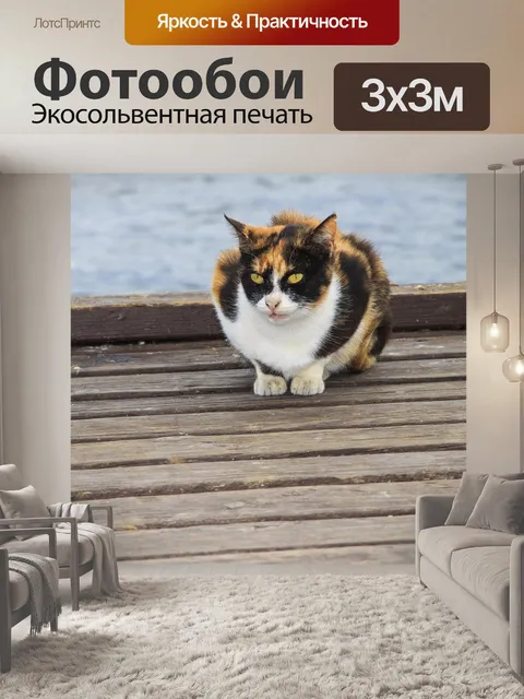 Фотообои Трехцветный