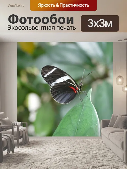 Фотообои Насекомое