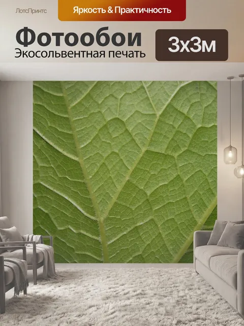 Фотообои прожилками листьев