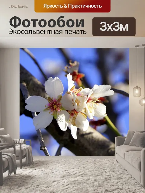 Фотообои Цветы миндаля