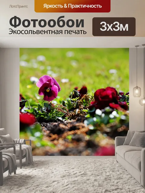 Фотообои Фиолетовый