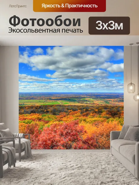 Фотообои Осенние цветы в лесу
