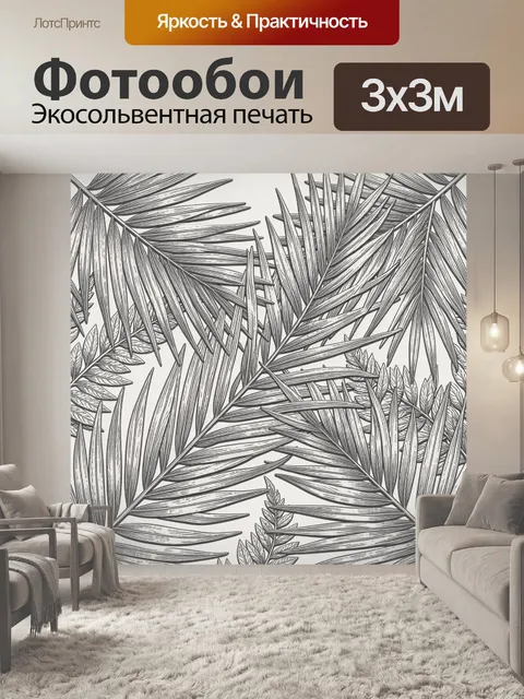 Фотообои Листья пальмы в монохроме