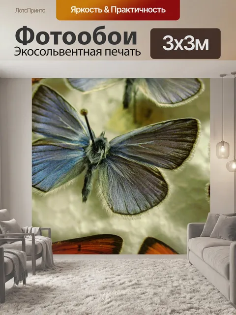 Фотообои Бабочка