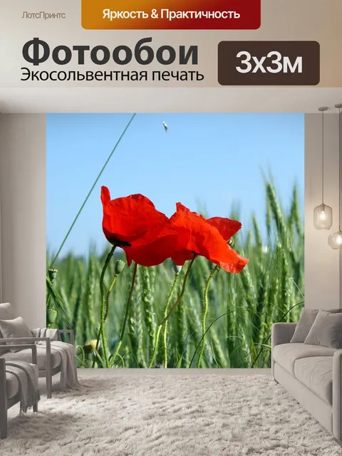Фотообои Поле
