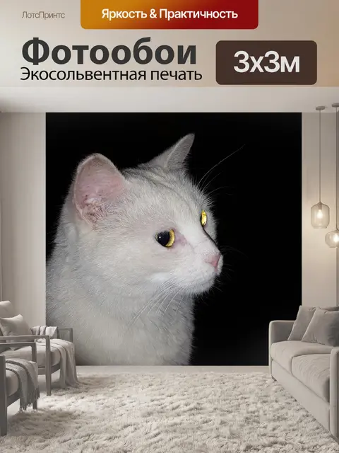 Фотообои Белый кот