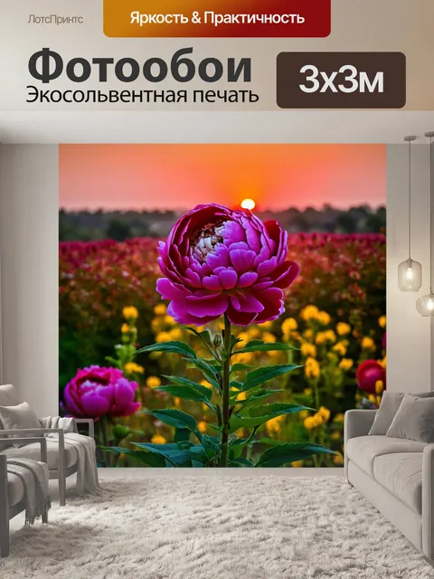 Фотообои пионы, выделяющиеся на фоне яркого заката, создавая невероятно красивый контраст всех оттенков
