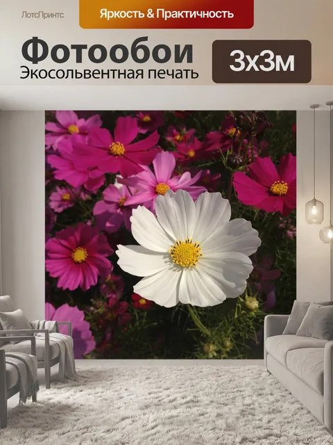Фотообои Один