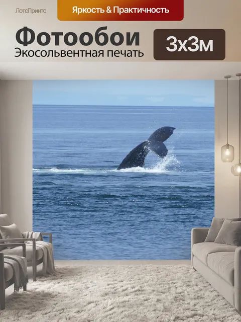 Фотообои Кит
