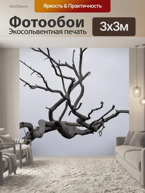 Фотообои Зимнее дерево филиал