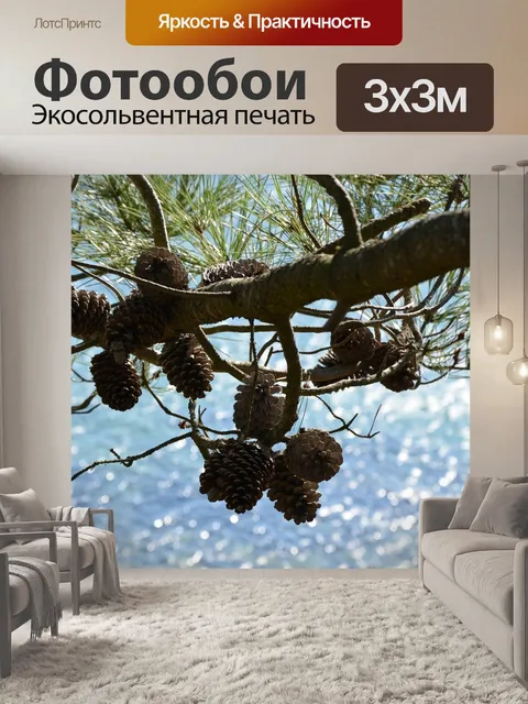 Фотообои Шишка