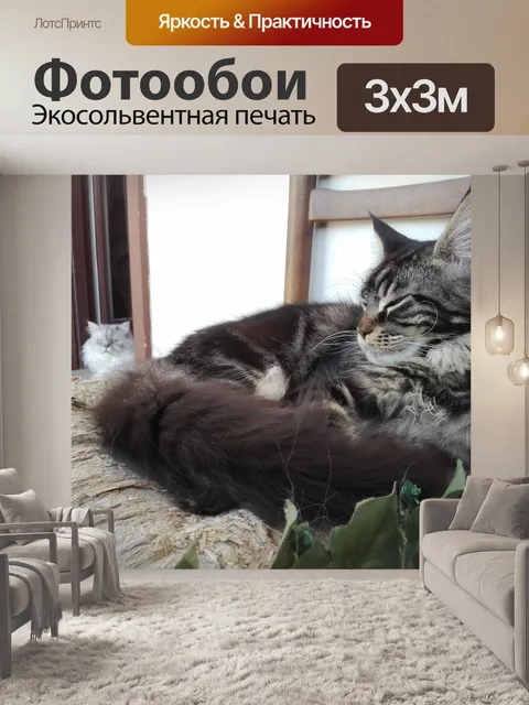 Фотообои Мейн-кун