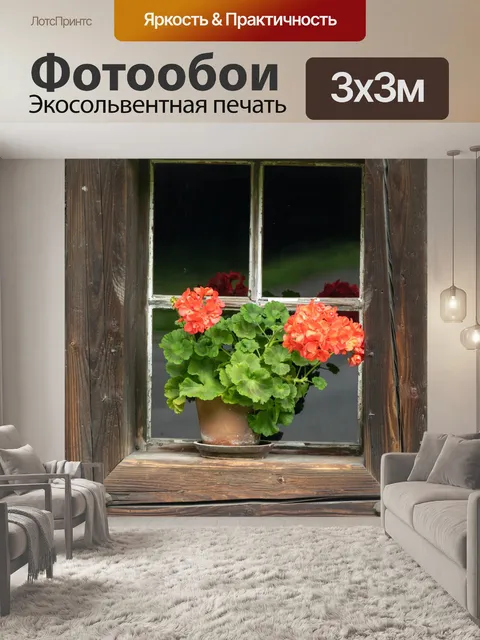 Фотообои Цветы в окне