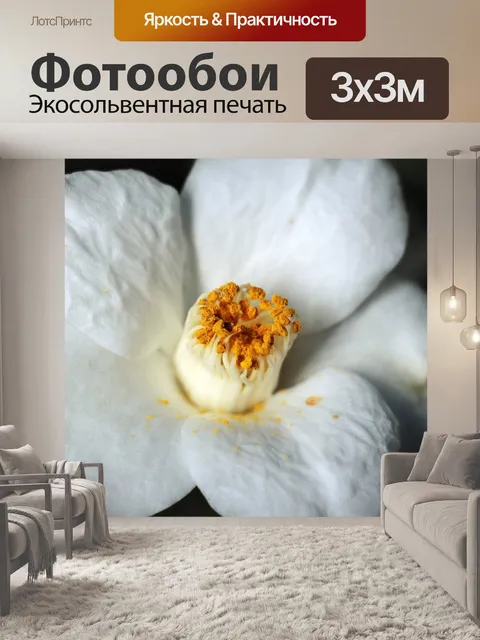 Фотообои Камелия