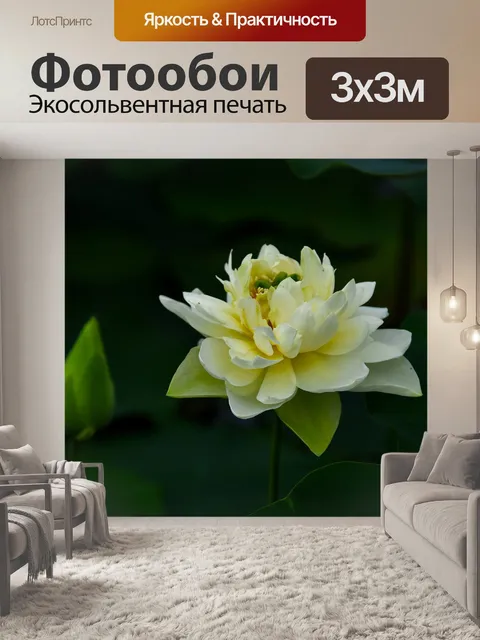 Фотообои Золотой лотос