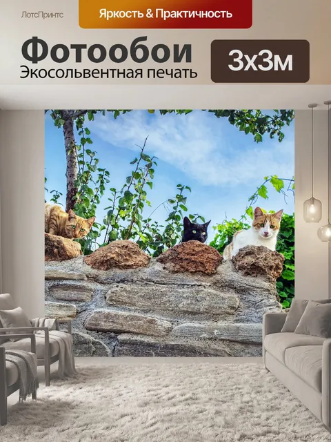 Фотообои Кошки