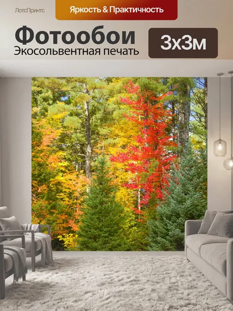 Фотообои Осенние деревья
