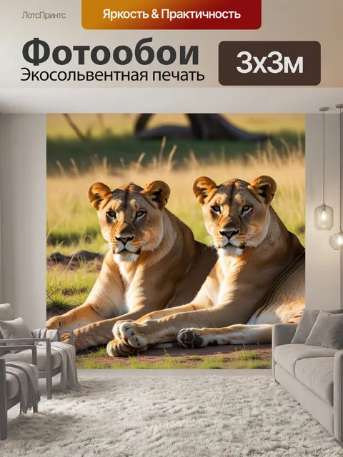 Фотообои львицы, отдыхающие на солнце в саванне