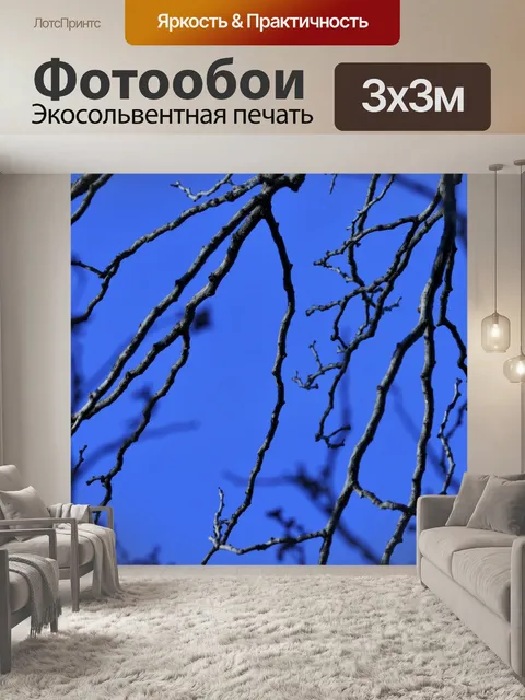 Фотообои солнечный свет на голых ветвях