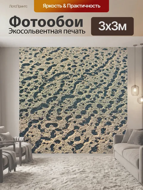 Фотообои текстура следов уличной собаки