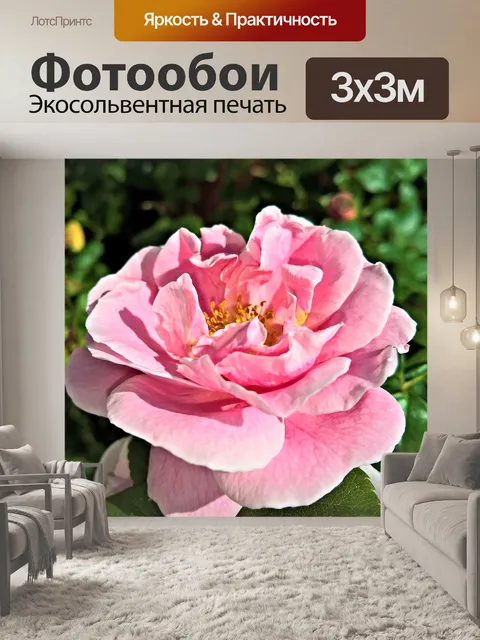 Фотообои Роза