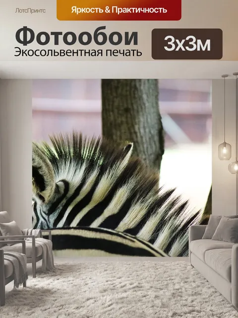 Фотообои ухо и грива зебры