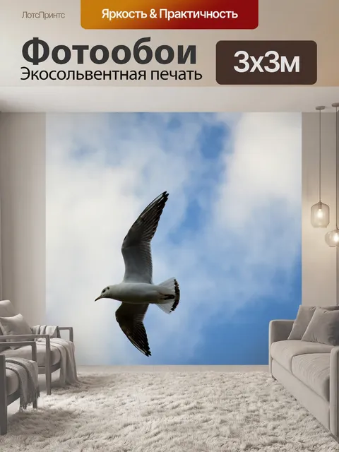 Фотообои Чайка