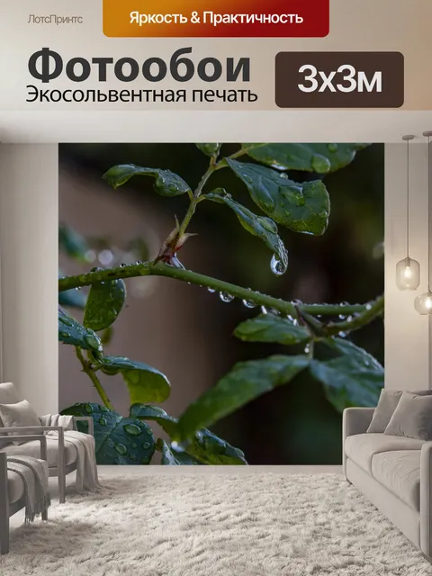 Фотообои Капли дождя на листьях крупным планом