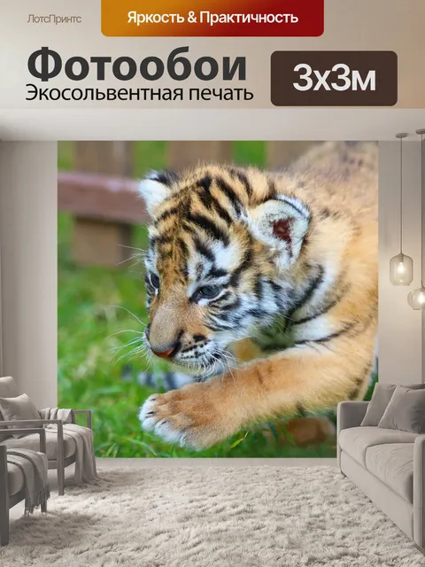 Фотообои Тигр